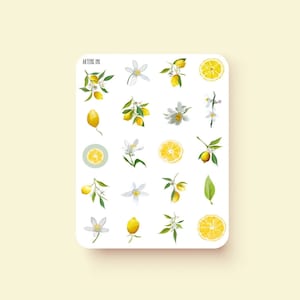 Cute Lemon Floral Planner Stickers  - For Bullet Journals and Planners - Planner Stickers - Bullet Journal Stickers - Cottagecore