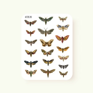 Vintage Moth Stickers - For Bullet Journals and Planners - Planner Stickers - Bullet Journal Stickers - Animal Stickers