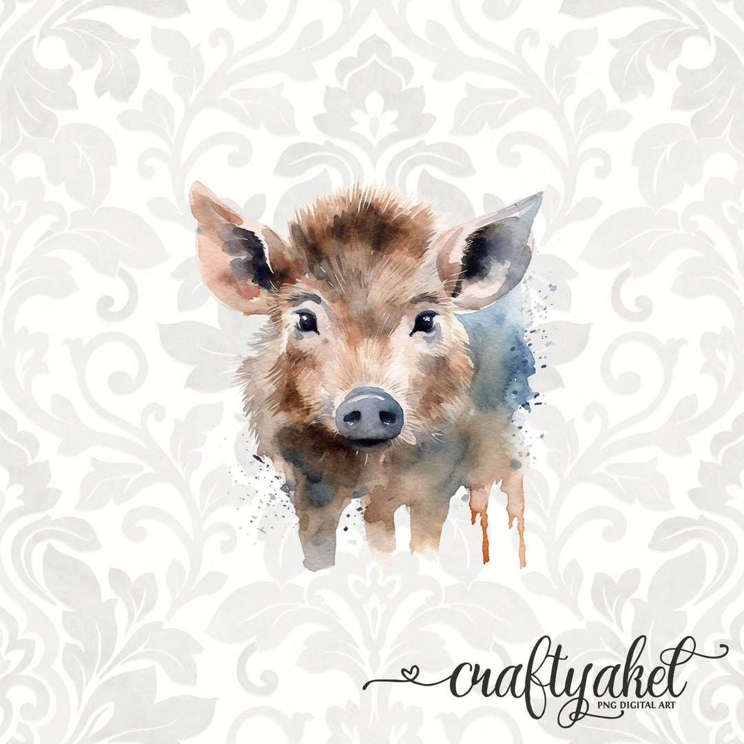 Cute Wild Boar Watercolor Digital Clip Art 12x12 PNG File With ...