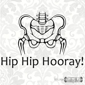 Hip Hip Hooray! (SVG, PDF, Digital File Vector Graphic)