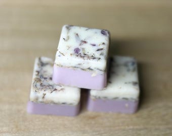 Crystal-Infused Soy Wax Melts: Aromatherapy Intention Melts with Herbs