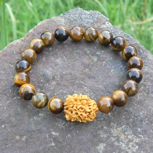 Rudraksha bracelet, 3 Mukhi original Rudraksh bead, Tiger eye & Rudraksha wrist mala, Solar plexus chakra jewelry, Spiritual yoga bracelet