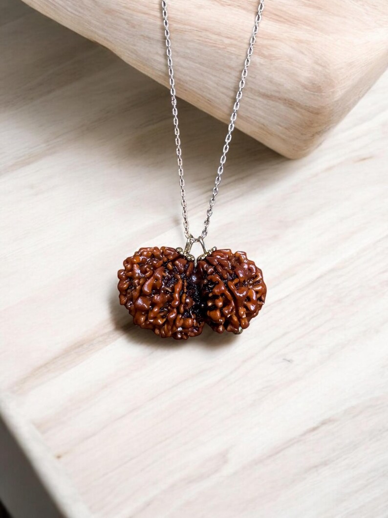 Gauri Shankar Rudraksha Necklace, 14K Gold Chain, Shiva Parvati Hindu ...