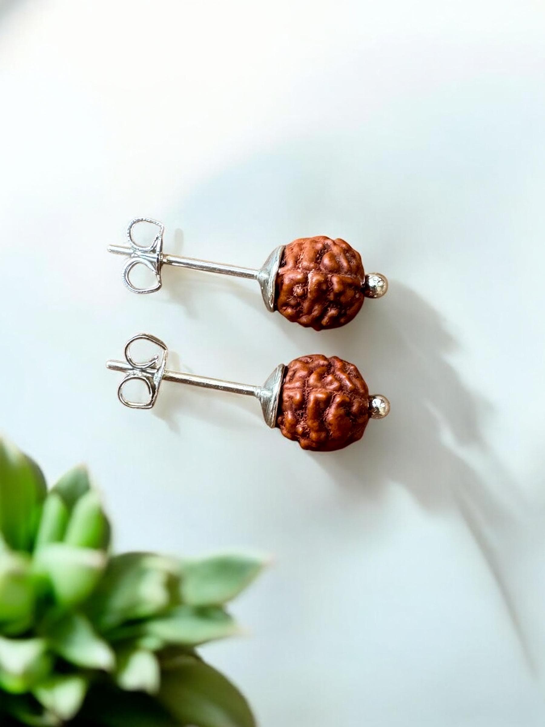 Perles graines naturelles de Rudraksha larmes de shiva 10 mm x10 - Perles & Co