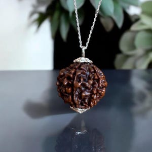 6 Mukhi Rudraksha Pendant Necklace | Sterling Silver | Sacred Spiritual Jewelry | Divine Protection, Kartikeya rudraksha, shiva shakti gift