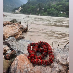 Puede incluir: Un collar de cuentas mala de color rojo y marr&oacute;n hecho de semillas de rudraksha, descansando sobre una roca junto a un r&iacute;o. La leyenda dice "Rudraksha for this item was blessed in Ganga waters in Rishikesh, India".