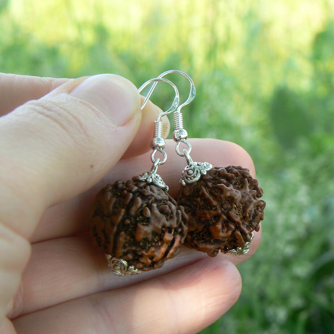 Buy Rudraksha Earrings With Sterling Silver Hooks Shiva Bead