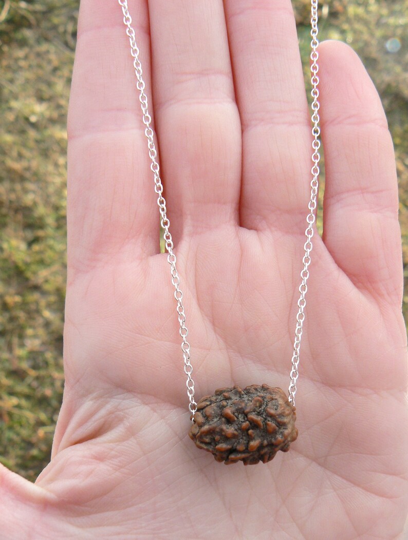rudraksha seed necklace