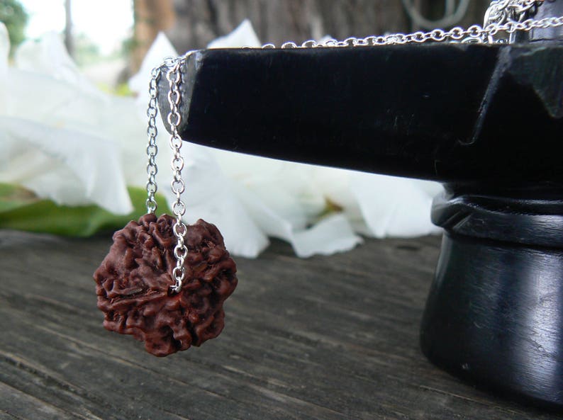 rudraksha seed necklace