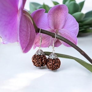 Rudraksha earrings with sterling silver hooks, Divine Feminine energy Adi Shakti, Shiva bead jewelry, Original real 5 Mukhi Rudraksh seed