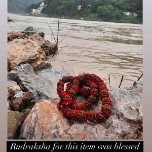 Rudraksha Aquamarine Necklace, Mukhi Mala, Hindu Spiritual Jewelry image 11