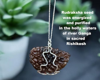 Certified 1 Mukhi Rudraksha Pendant, Sterling Silver Shiva Necklace, Hindu Jewelry