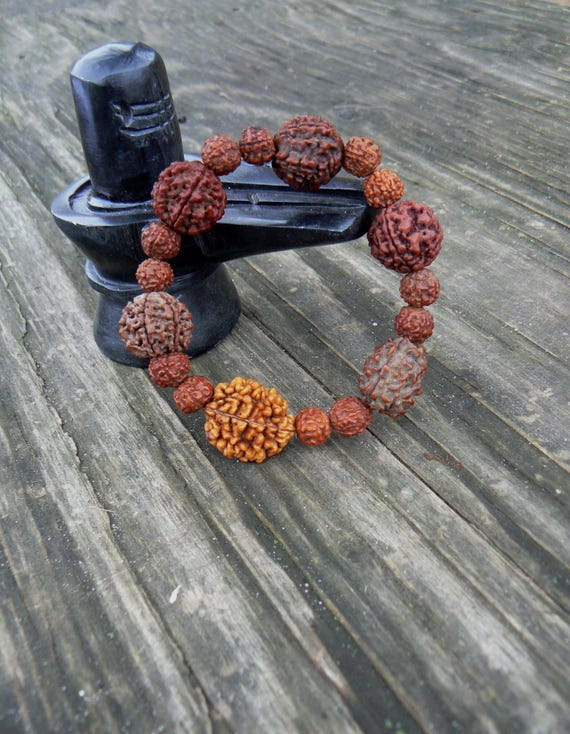 2 Mukhi Rudraksha Stretchable Bracelet