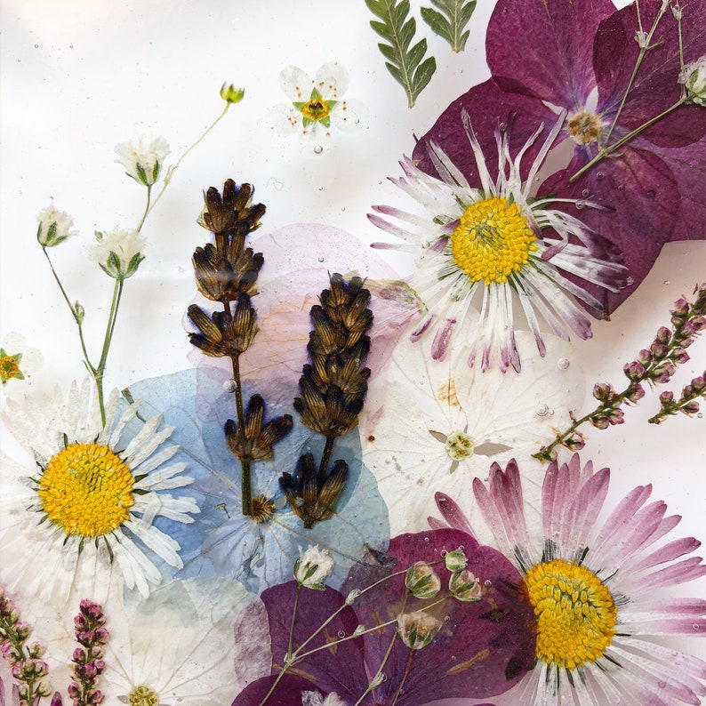 Real Flower Ipad Case Pressed Plants Tablet Cover Handmade Etsy