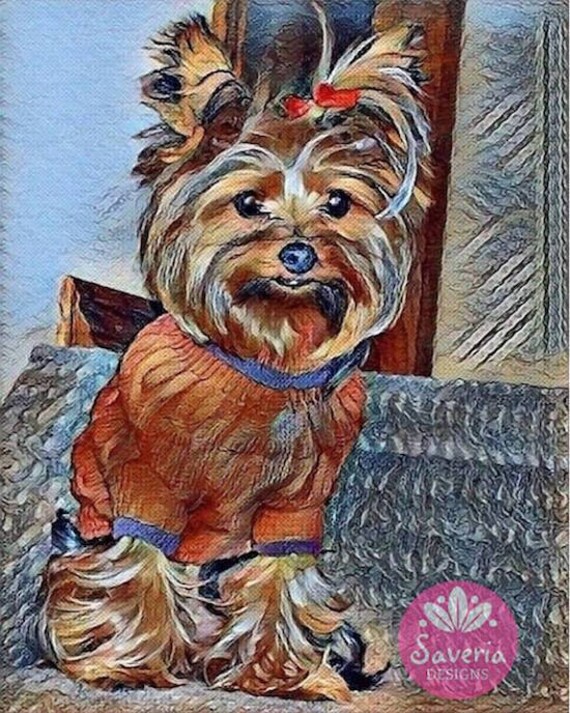 English Print Yorkshire Terrier Pup Dog Art Picture
