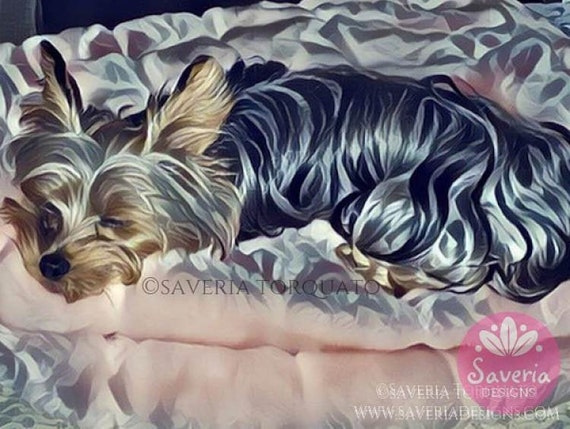 how many hours does a yorkie sleep