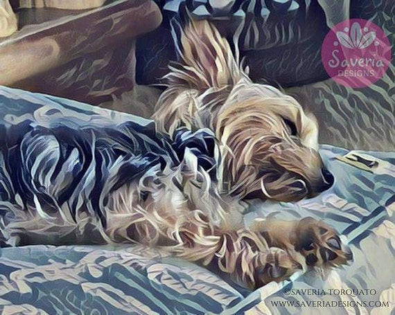 yorkie wall art