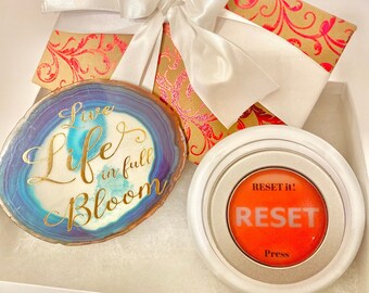 Live Life in Full Bloom. Life's RESET it!™Button. Encourage Empower Support Appreciation Idea Self Care Love Box Thinking of You Desk art