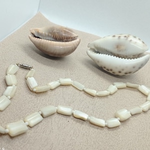 Könnte beinhalten: Eine Halskette aus weißen, rechteckigen Perlen mit Silberverschluss wird zusammen mit zwei Muscheln gezeigt. Eine Muschel ist hellbraun, die andere weiß mit braunen Flecken. Die Artikel liegen auf einer beigen Oberfläche.