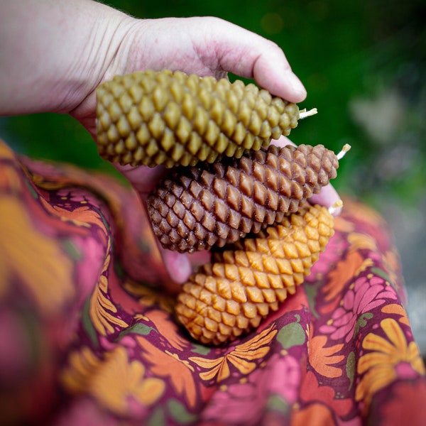 Pine cone candles handmade from 100% beeswax in various colors