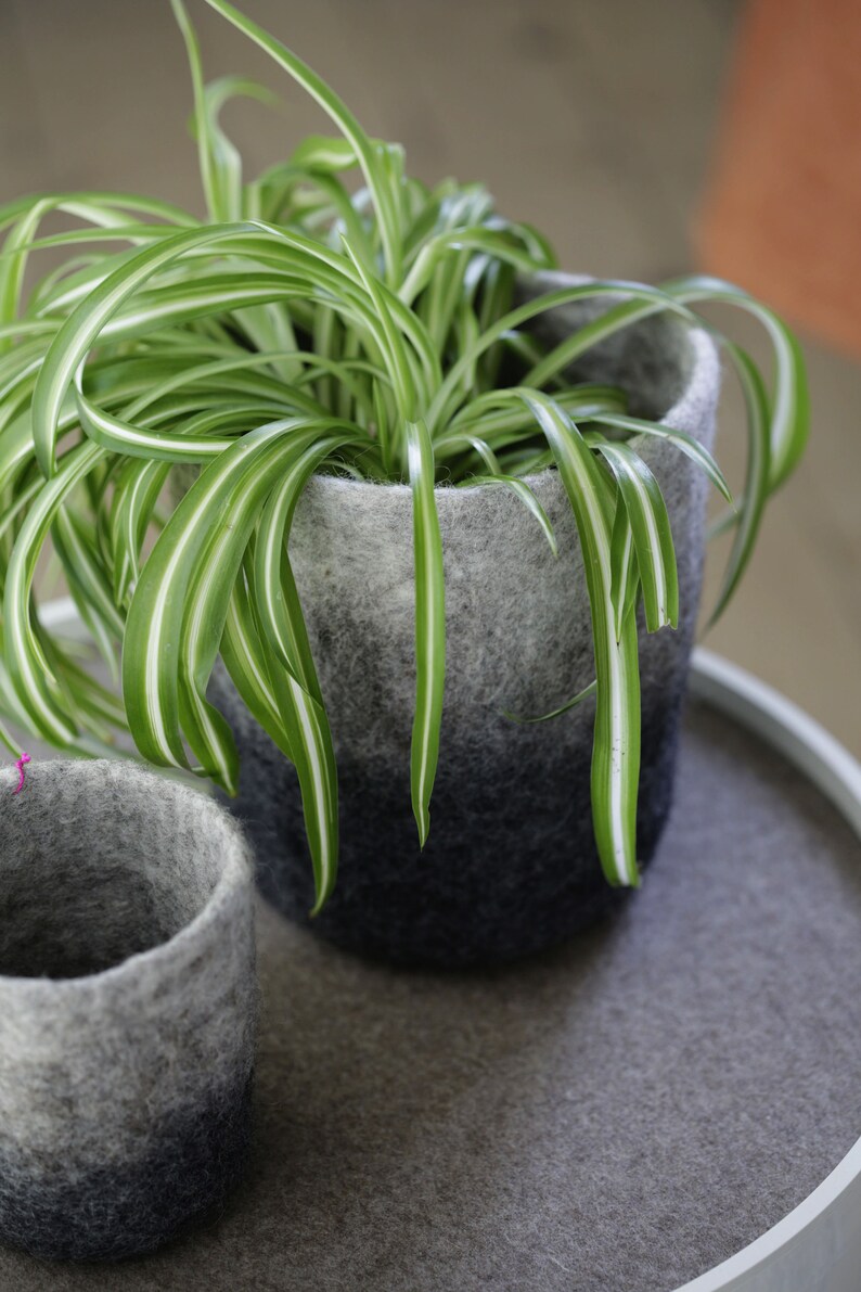 Filz Vase Stone Filzvase Wolle Handgefertigt Blumenvase Filzhülle übertopf Filztopf Gefilzt Pflanzgefäß Pflanze Blumentopf