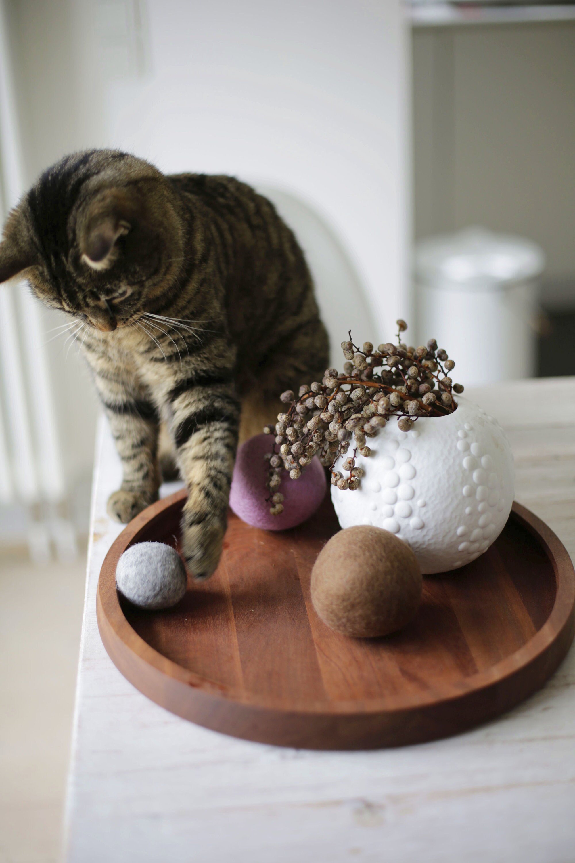 Boule de Jeu Chat, Jouet Boules Feutre, Fait à La Main Laine Écologique, Chat Cadeau d'animal Famili