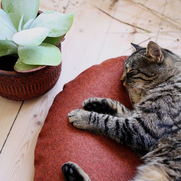 Prinzessin auf der Erbse in Wollqualität, Katzen, Katzenkorb, Katzenkissen, Katzenhöhle, moderne Katzenzubehör, Liegemulde, Katzenkörbchen