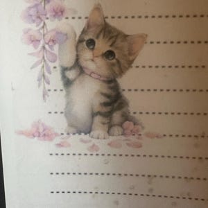 **Neues **Katzen mit Blumen Briefpapier, Briefpapier & Sticker Set.**