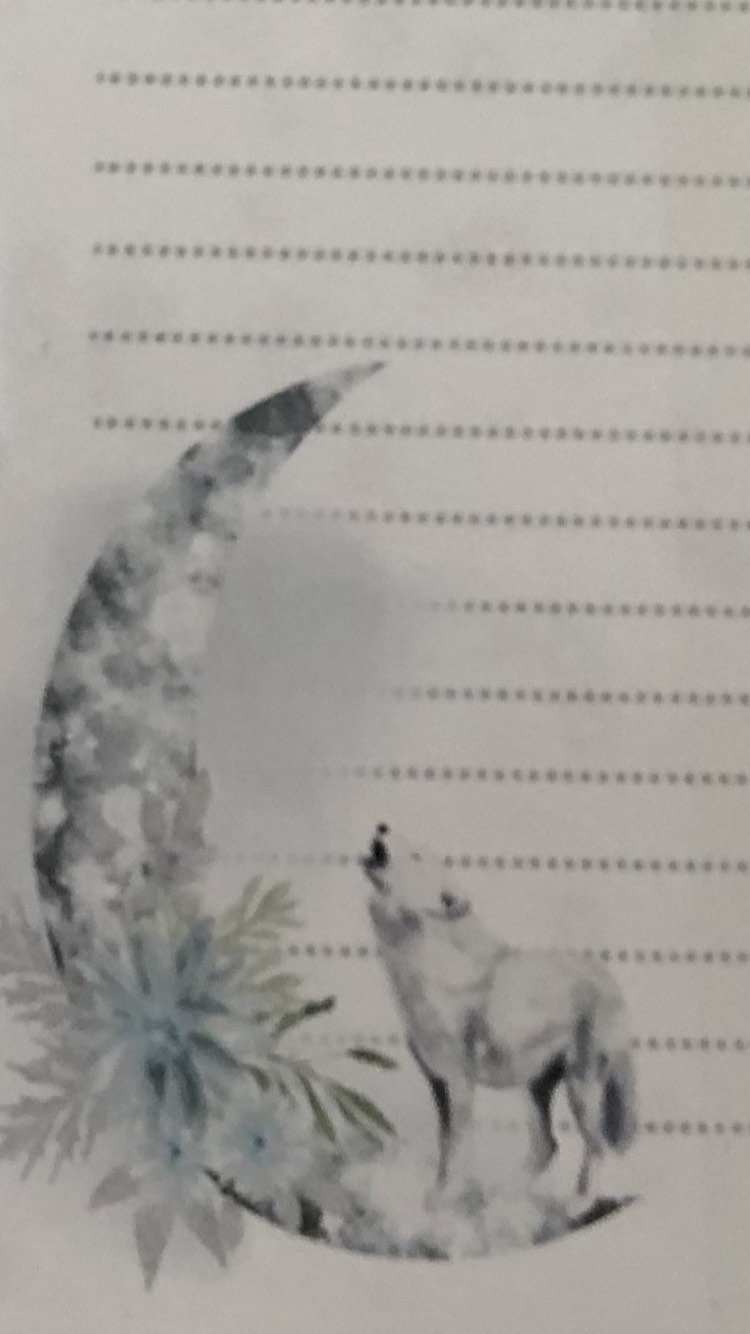 Stunning Wolf Stationery Letter Writing Paper & Sticker Set Etsy UK