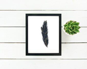 Black Feather Watercolor Painting