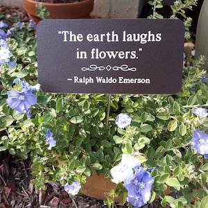 Custom Engraved Garden Sign 3&quot;x 6&quot; with Stake, Custom Garden Signs, UV-resistant Acrylic Garden Sign, Garden Gift, Quote Signs, Outdoor Sign