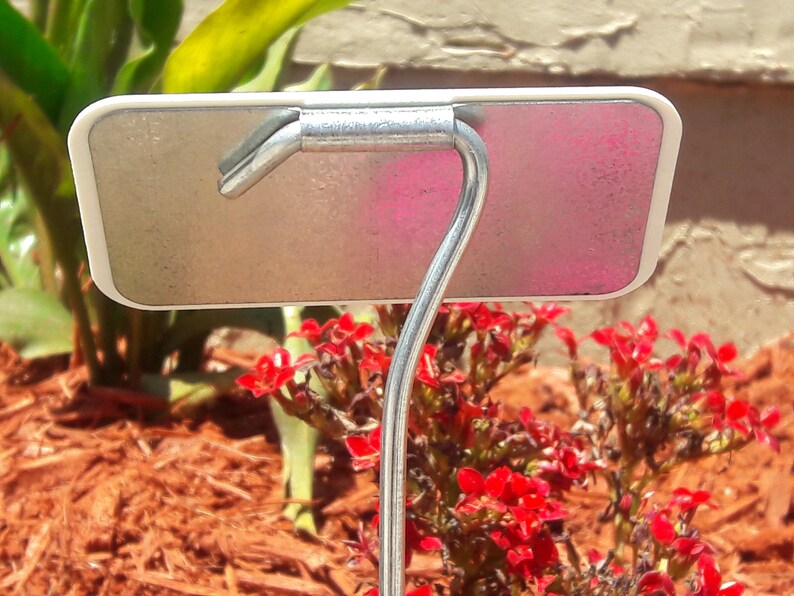 Custom Engraved Herb Labels & Garden Stakes Vegetable Etsy