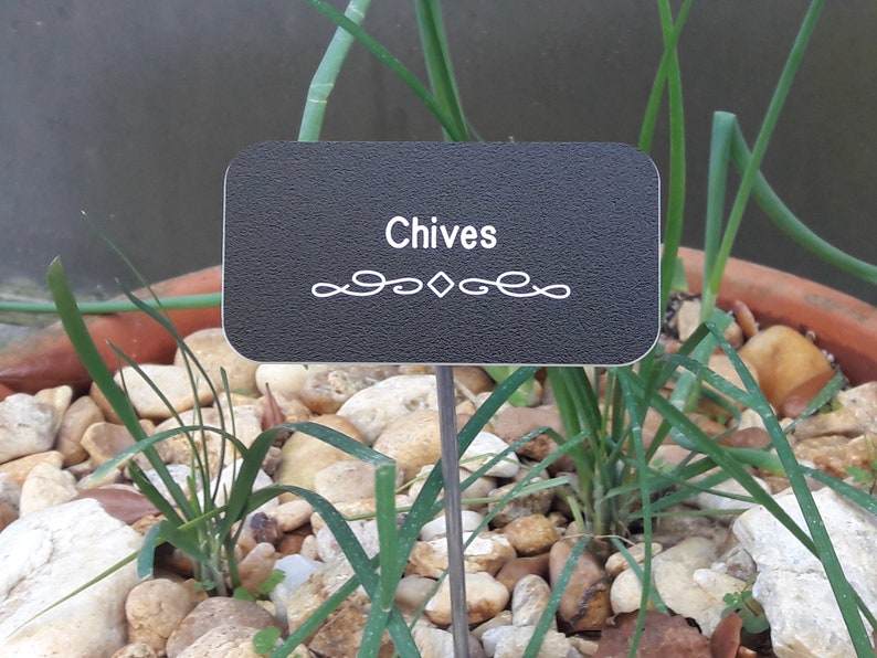 Custom Engraved Herb Labels & Garden Stakes Vegetable Etsy