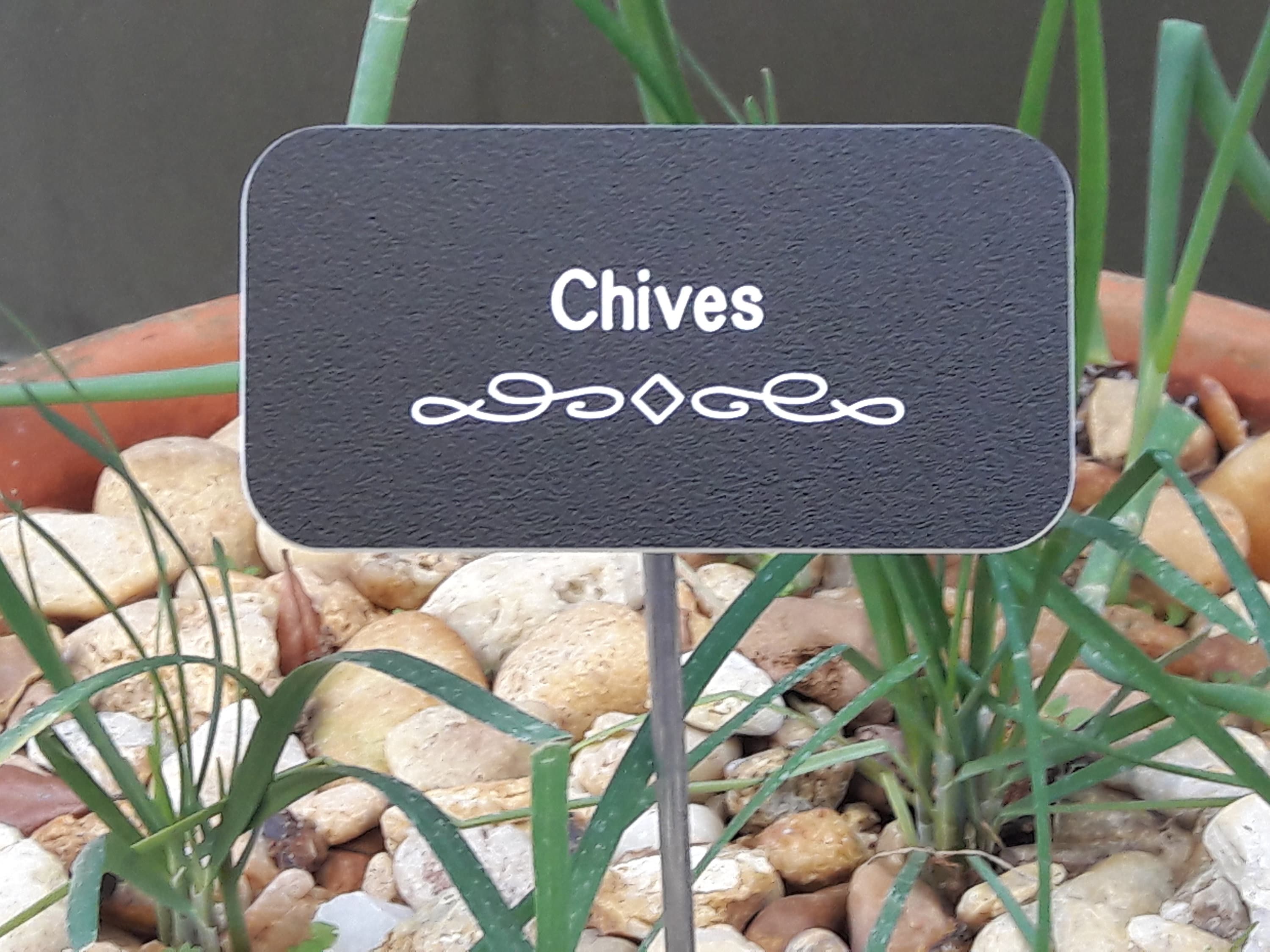 Custom Engraved Herb Labels & Garden Stakes Vegetable Etsy