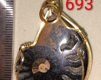 May include: A pendant featuring a fossilized ammonite encased in a gold-colored wire frame. The fossil has a dark, swirling pattern with a lighter-colored center. The number "693" is visible in red.