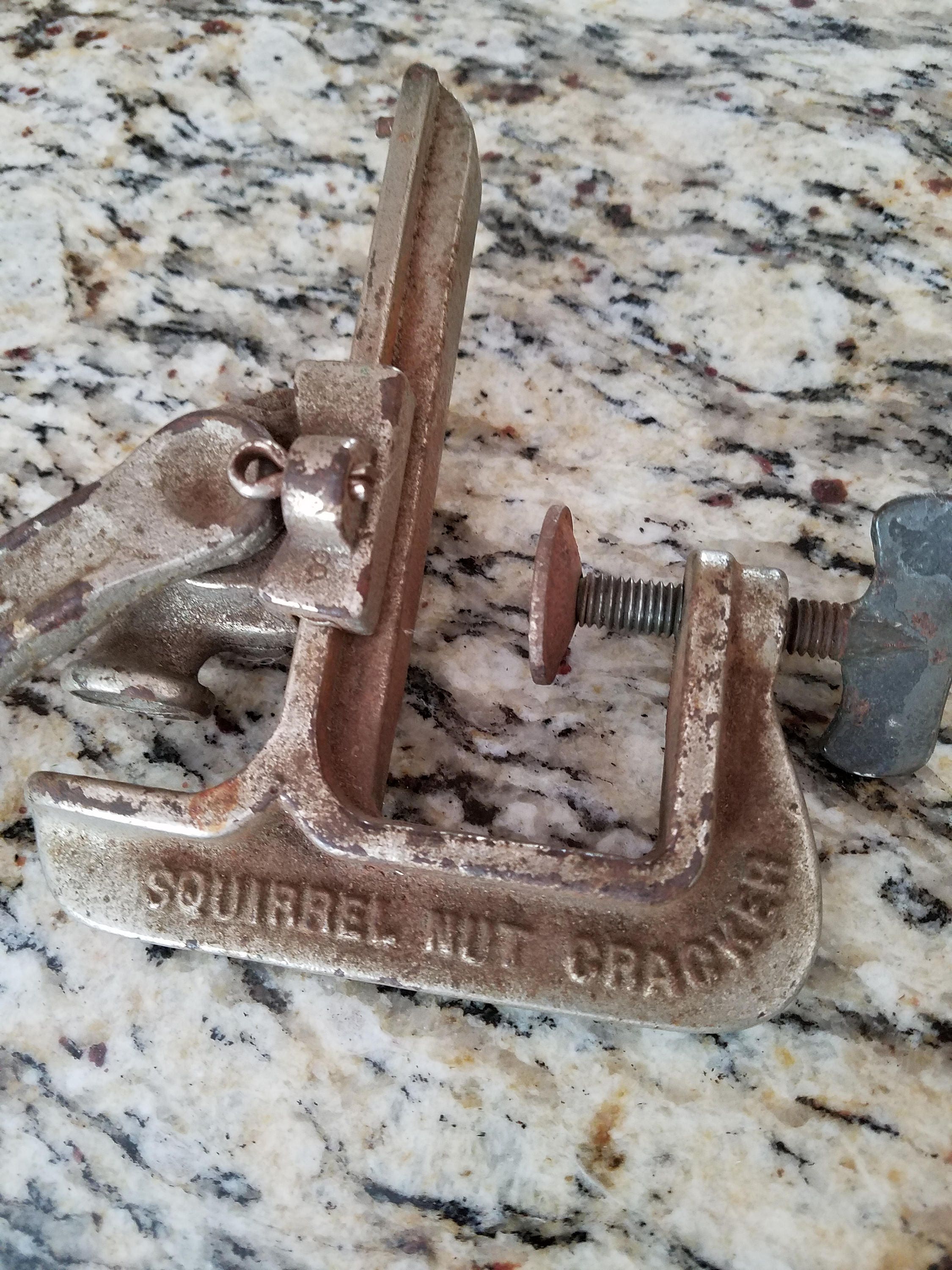 Antique 1925 Squirrel Nut Cracker by Alex Woldert Co. Etsy