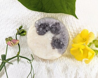 Shampoo Bar Lavendula "Conditioning"