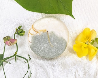 Shampoo Bar Lemon Rosemary "conditioning"