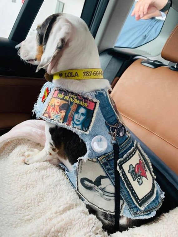 punk dog harness
