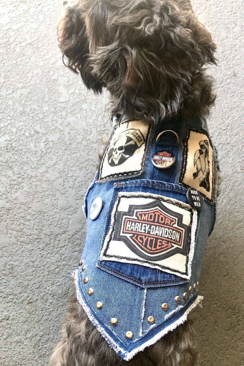 Harley Davidson Denim Dog Jacket Blue Denim Dog Jacket Denim Etsy