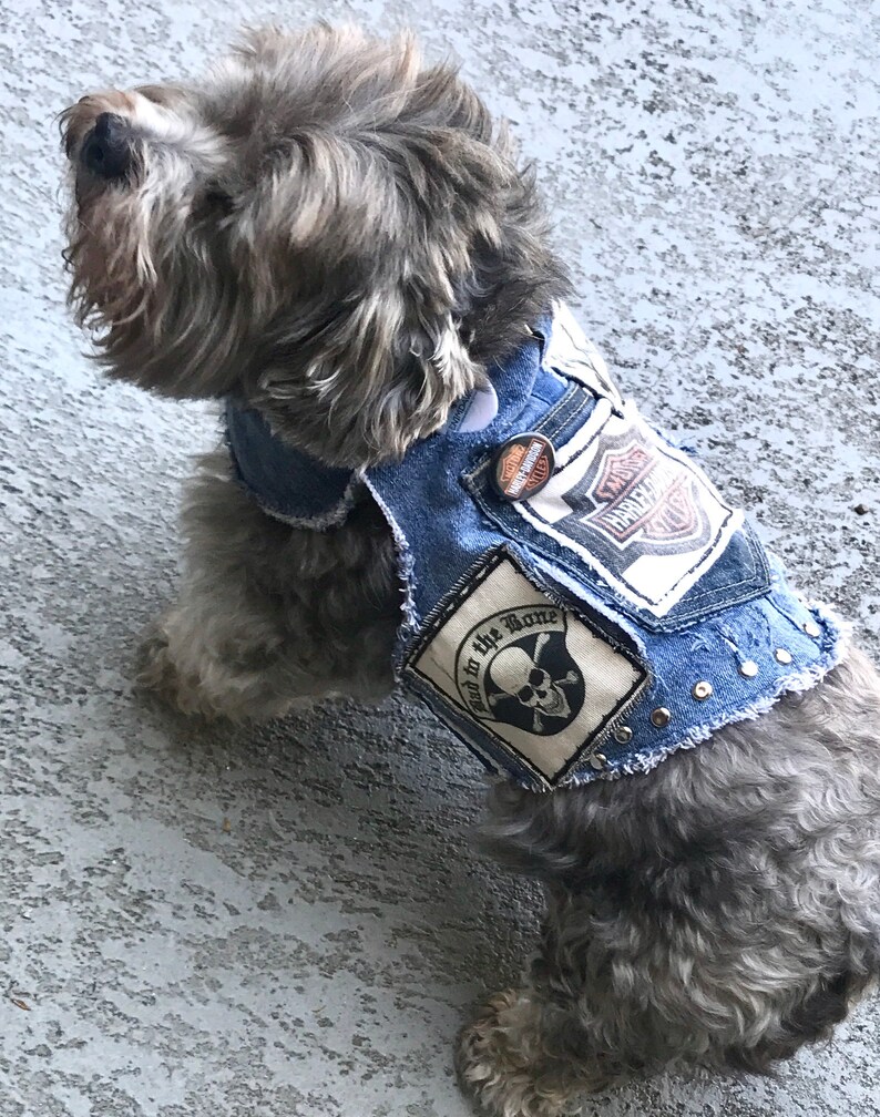 Harley Davidson Denim Dog Jacket Blue Denim Dog Jacket Denim Etsy