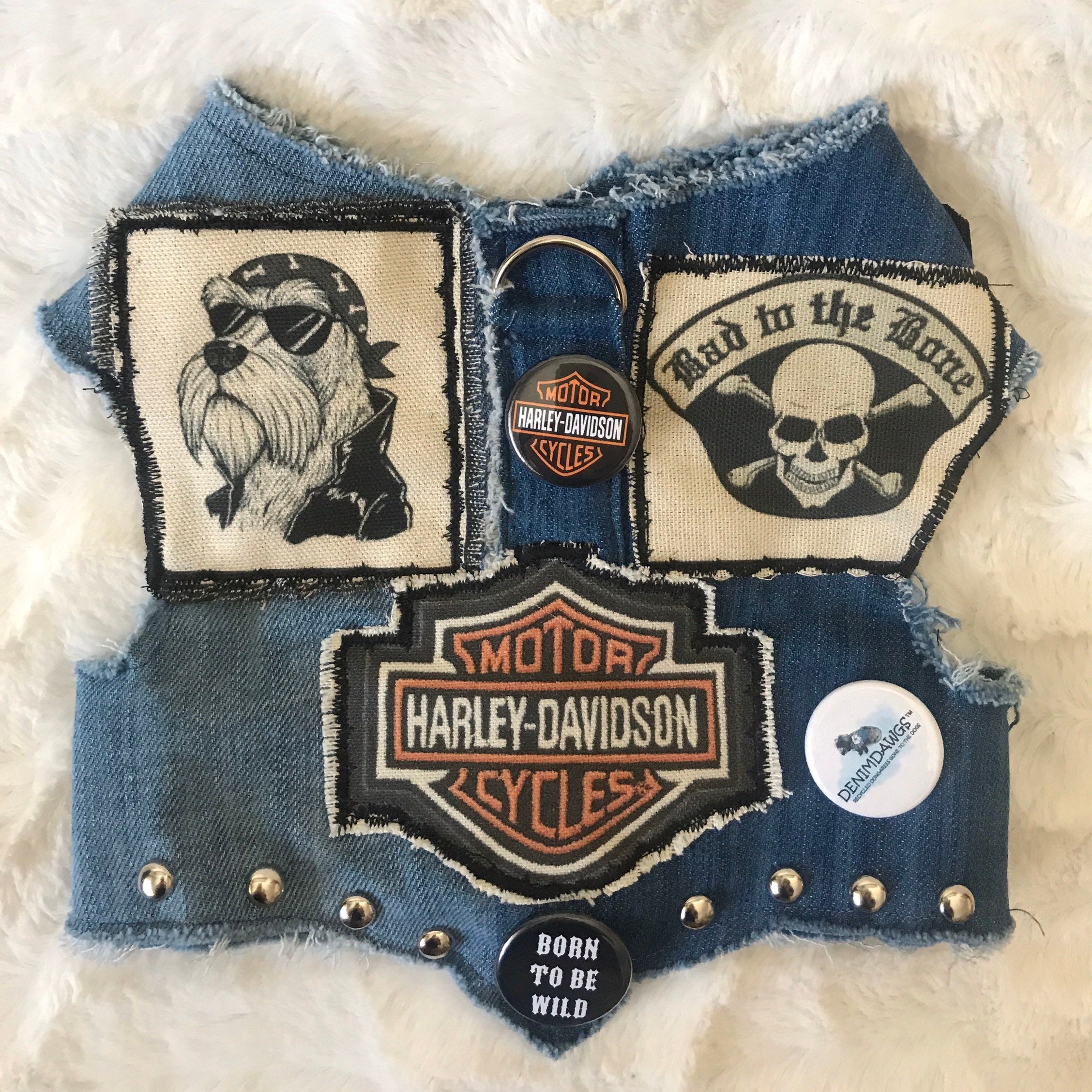 dog harley jacket