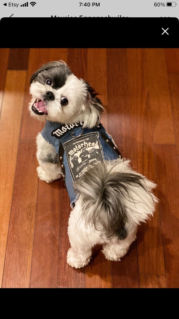 denim dog vest