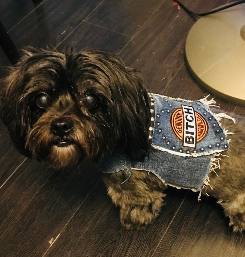 harley davidson denim dog jacket