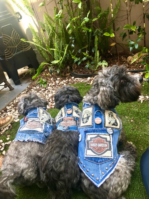 dog harley davidson jacket