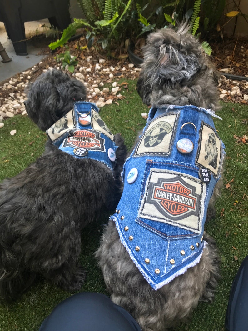 Harley Davidson Denim Dog Jacket Blue Denim Dog Jacket Denim Etsy