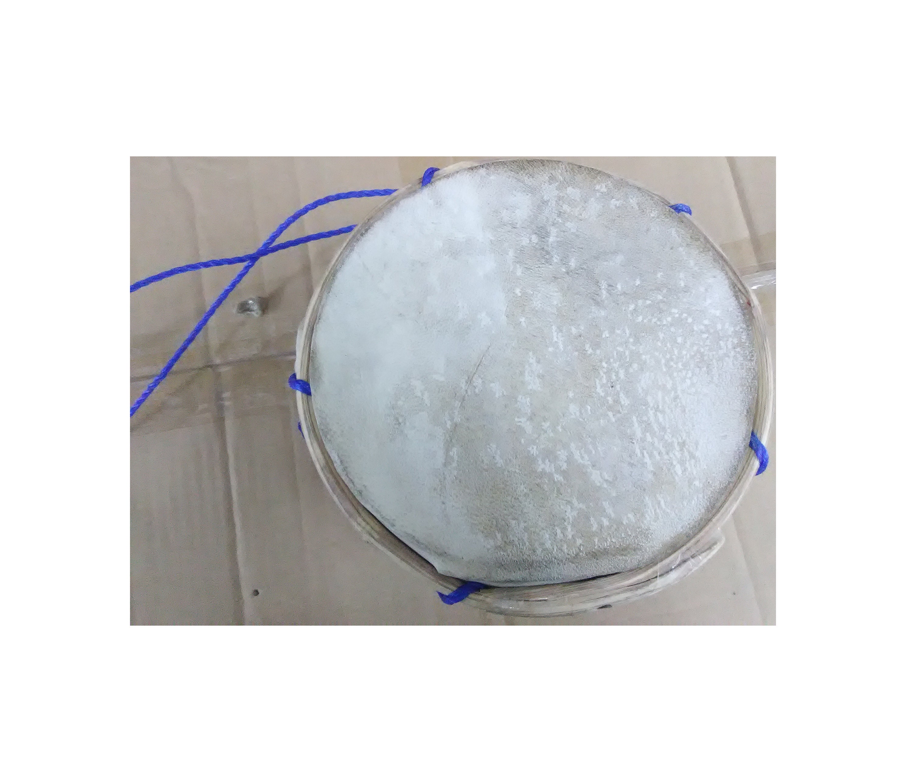 Artificial Drum Tambora Dominican Flag Etsy