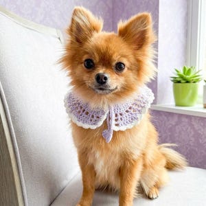 May include: A small, fluffy, light brown dog wearing a handmade crochet collar. The collar is light lavender with a delicate, scalloped white border and features a small, dangling crochet heart charm at the center front closure.