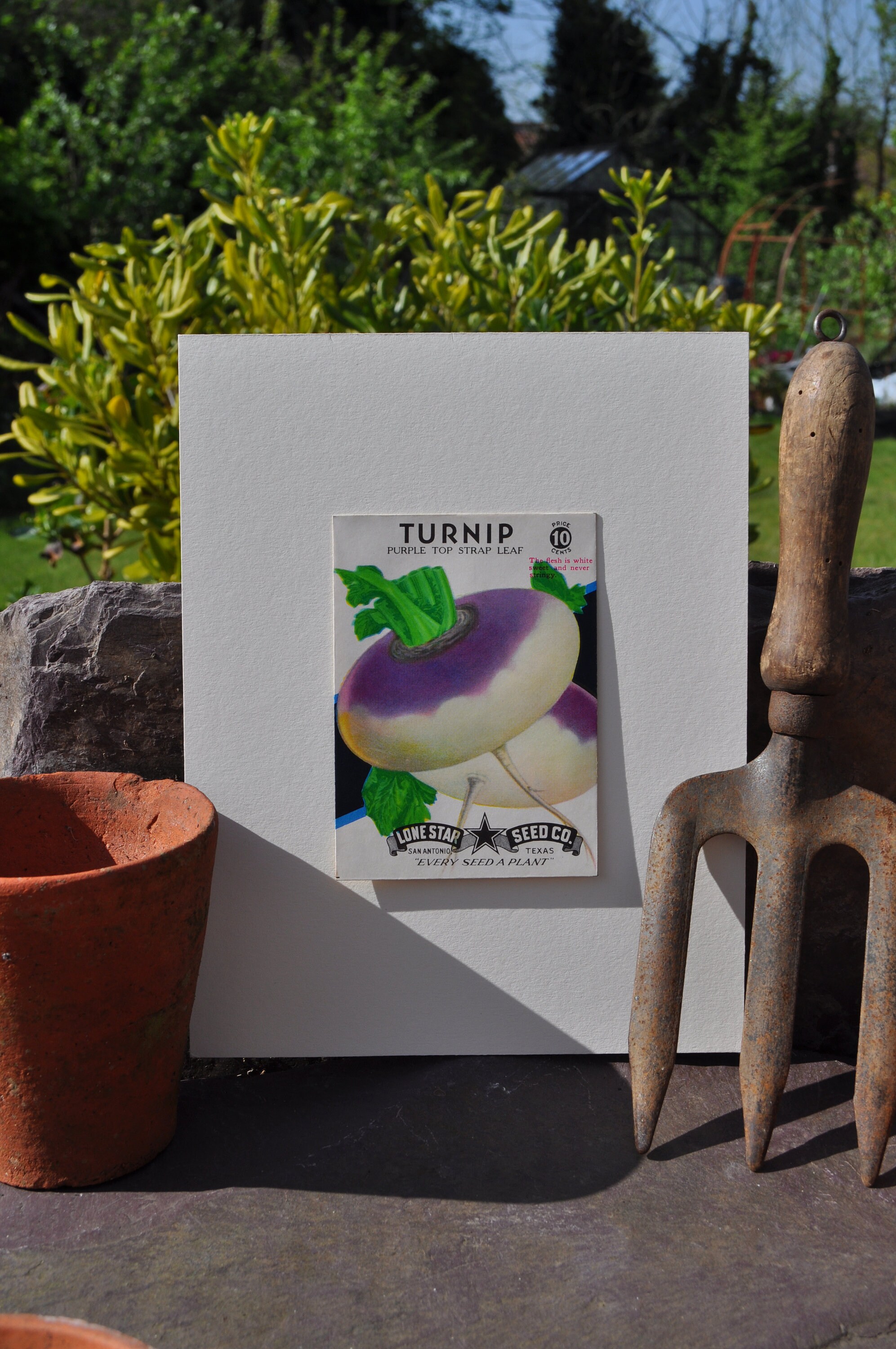 1940s ORIGINAL Turnip SEED PACKET Etsy
