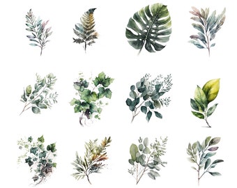 Botanical leaf digital file for poster printing